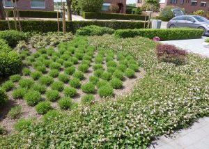 vvklinkers vv klinkers aanleg oprit terras tuin